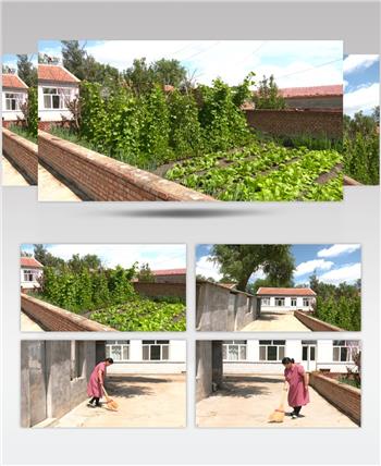 农村菜园干净整洁