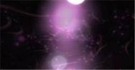 会声：HL-07 紫色梦幻片头 婚纱婚礼结婚爱情 会声会影特效下载  会声会影模版素材