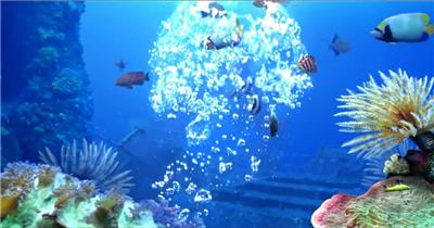 -海底鱼群水母婚礼套----海底鱼海底鱼群水母婚礼水底海洋大海_batch led视频背景下载