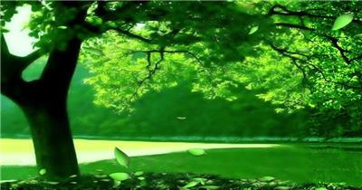梦幻童话森林 款A00143梦幻童话森林无音乐 led视频素材