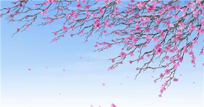 日本的春天 Japanese Spring 春节 新年 新春佳节 过年