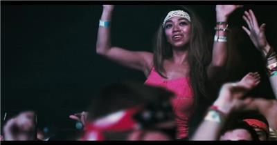 Electric Zoo 2013 Official Trailer.1080p 宣传片视频