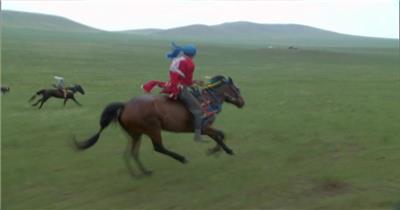草原上的马 骑马视频奔马视频