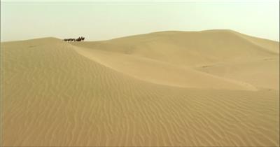 0310-沙漠骆驼队2交通 运输