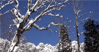 ［4K］ 雪景 4K片源 超高清实拍视频素材 自然风景山水花草树木瀑布超清素材