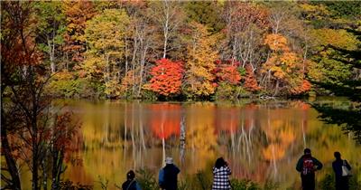 ［4K］ 红叶静湖3 4K片源 超高清实拍视频素材 自然风景山水花草树木瀑布超清素材