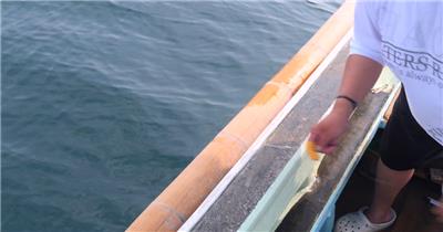 4K超清渔民捕鱼鱼类美食实拍视频