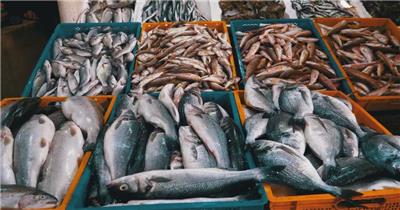 超级市场里的海产鱼虾海鲜产品