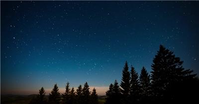在森林中一个宁静的夜晚，繁星的天空