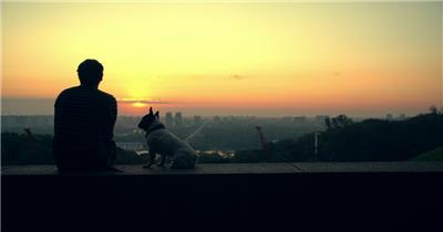 男人带着他的狗看着地平线上的日落