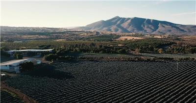 农耕田和一座山的背景下，蔚蓝的天空