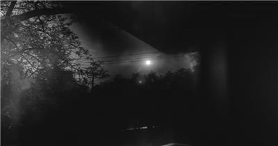 夜幕从窗户向上望着月亮，周围有许多树，窗帘挡住了路