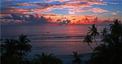 日落海滩上的棕榈树美景