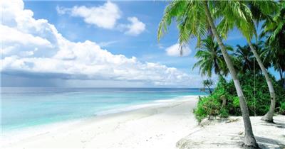 蓝天白云大海沙滩和棕榈树