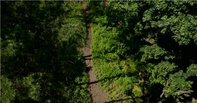 航拍森林中的小路实拍视频