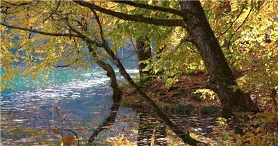 秋天季节的蓝色湖泊森林实拍视频
