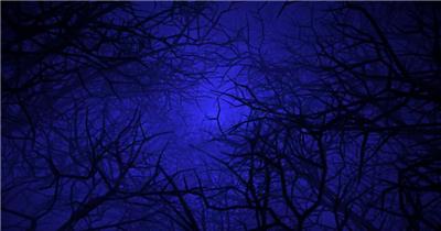 万圣节穿过一个恶魔蓝色森林视频
