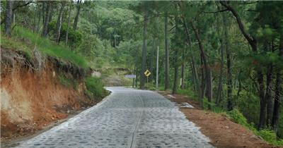 穿越茂密森林的小路实拍视频