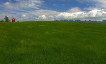 4K波浪舞绿田美景