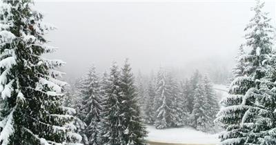 圣诞节冬季大雪纷飞的森林美景