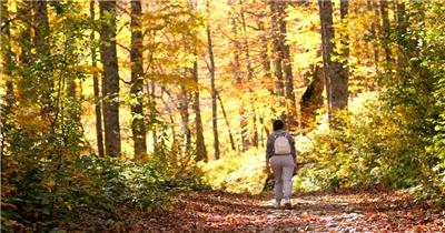 在秋天的森林里旅行的女人