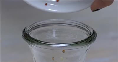 韩国拌饭实拍视频素材