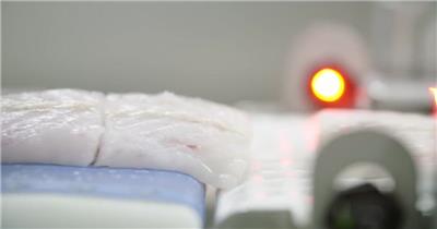 生鲜海鲜捕捞作业加工实拍高清视频素材