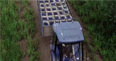 蓝莓种植采摘加工生产