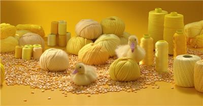 可爱小鸭动物特写玉米创意艺术宣传片背景视频