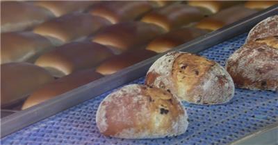 智能高科技面包生产线视频素材
