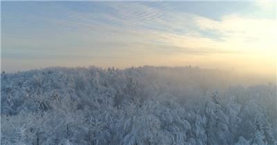 航拍辽阔雪林冬季雪原树挂雪白雪世界视频素材