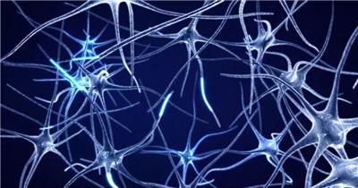 大脑神经元神经细胞信号传导视频