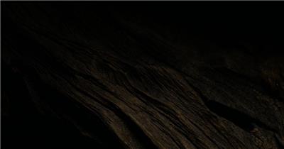 4k沉木流木光影移动木头纹理材质实拍视频素材