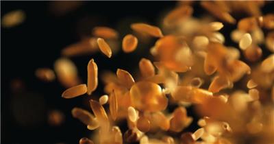 秋季丰收季节粮食颗粒特写镜头实拍素材