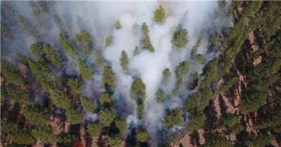 森林大火航拍森林火灾视频素材