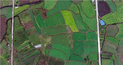 航拍乡村农田唯美自然风光高清背景视频