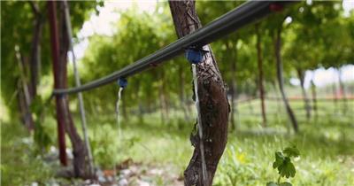 农业自动灌溉系统视频实拍视频素材