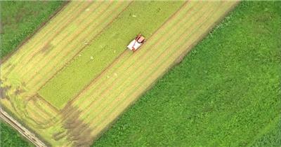 航拍稻田农业种植视频素材