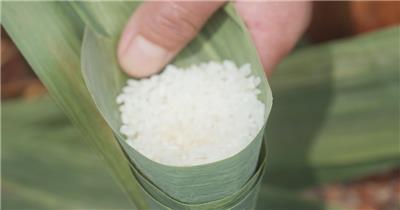 端午节包粽子咸鸭蛋黄味粽子