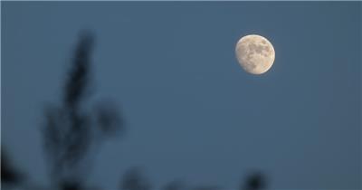 唯美月亮实拍镜头