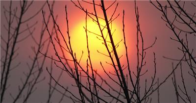 超唯美夕阳落日实拍镜头