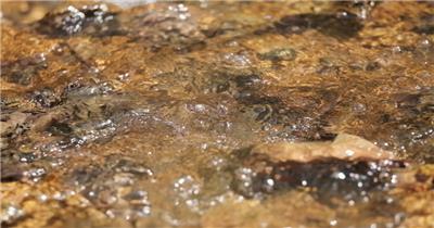 泉水小溪河流瀑布实拍镜头 (1)