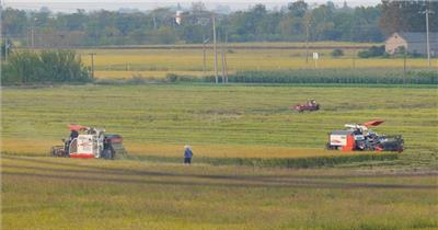 农村农民收割机粮食水稻丰收