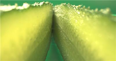 新鲜蔬果黄瓜特写绿色有机蔬菜视频素材