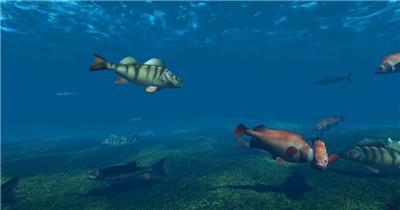 三维上古鱼类远古海底世界视频素材