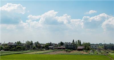 蓝天白云水稻田野农村子乡村庄