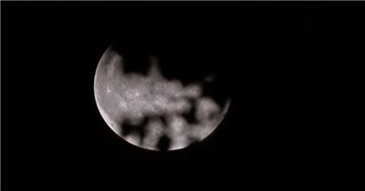 深夜晚月亮月球树叶剪影唯美