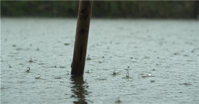 农村阴天下雨水滴池塘竹竿