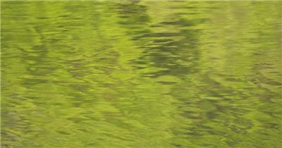 春天绿油油碧绿的小溪池塘