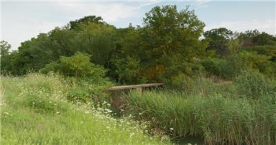 春天森林芦苇石桥小溪花丛